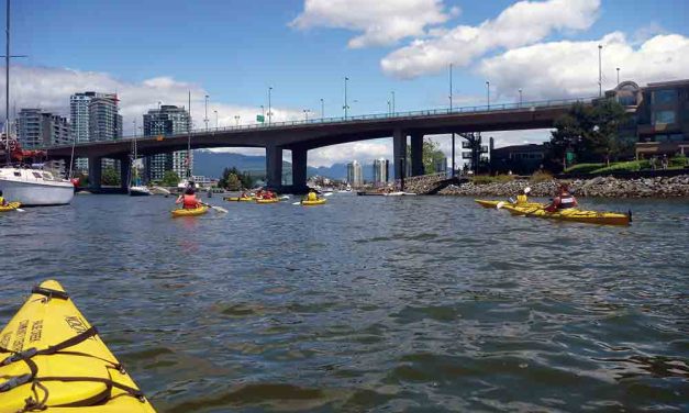 Kayak Around False Creek